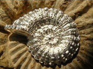 Spirale
